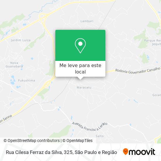 Rua Cilesa Ferraz da Silva, 325 mapa