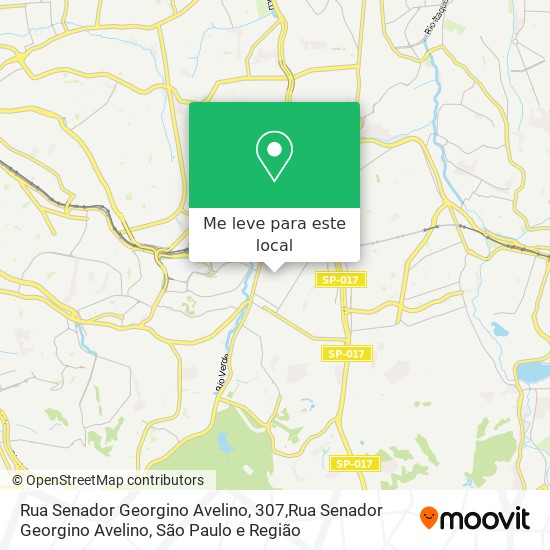 Rua Senador Georgino Avelino, 307,Rua Senador Georgino Avelino mapa