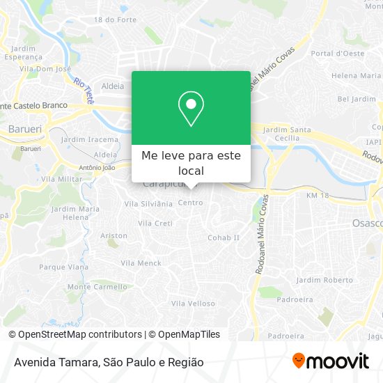 Avenida Tamara mapa