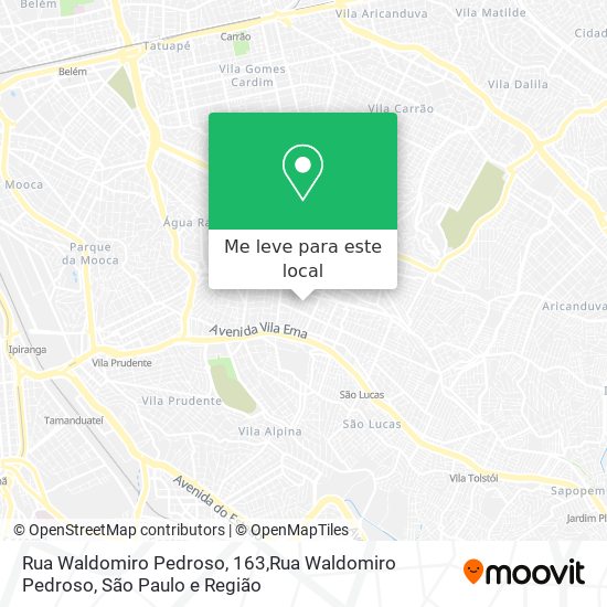 Rua Waldomiro Pedroso, 163,Rua Waldomiro Pedroso mapa