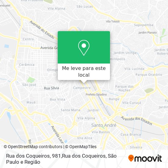 Rua dos Coqueiros, 981,Rua dos Coqueiros mapa