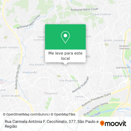 Rua Carmela Antônia F. Cecchinato, 377 mapa