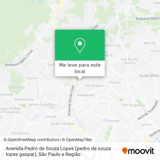 Avenida Pedro de Souza Lopes (pedro de souza lopes gaspar) mapa