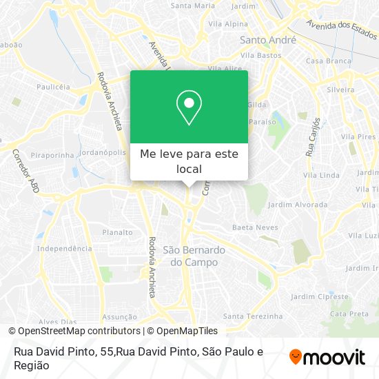 Rua David Pinto, 55,Rua David Pinto mapa
