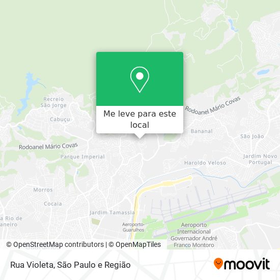 Rua Violeta mapa