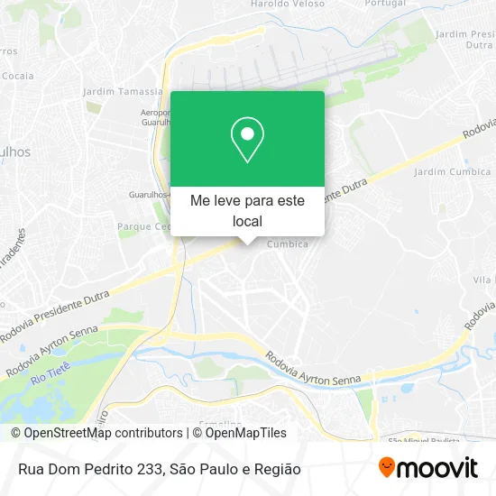 Rua Dom Pedrito 233 mapa