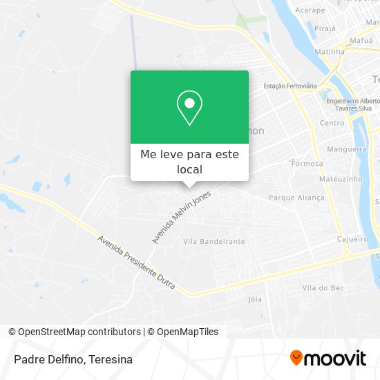 Padre Delfino mapa