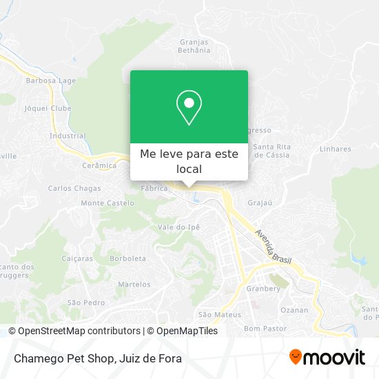 Chamego Pet Shop mapa