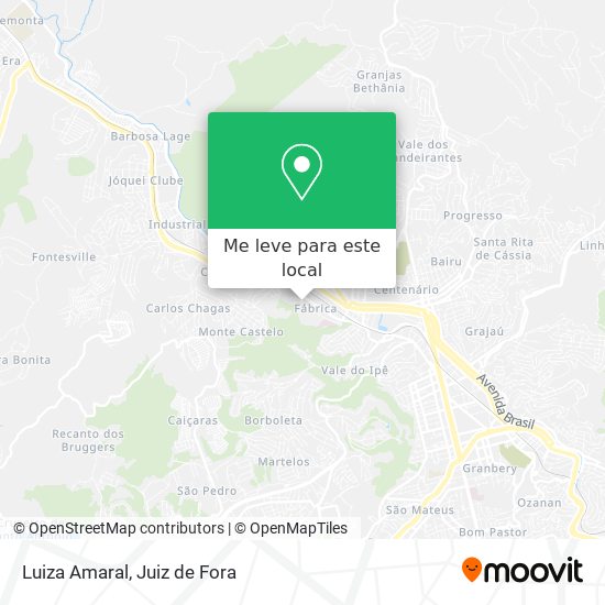 Luiza Amaral mapa