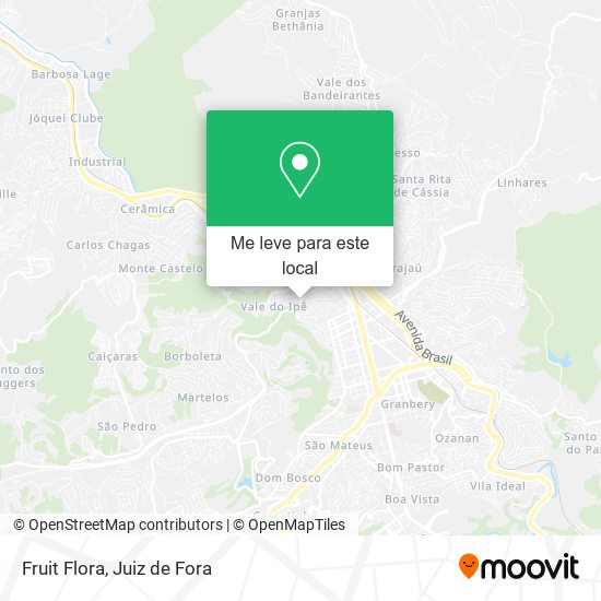 Fruit Flora mapa