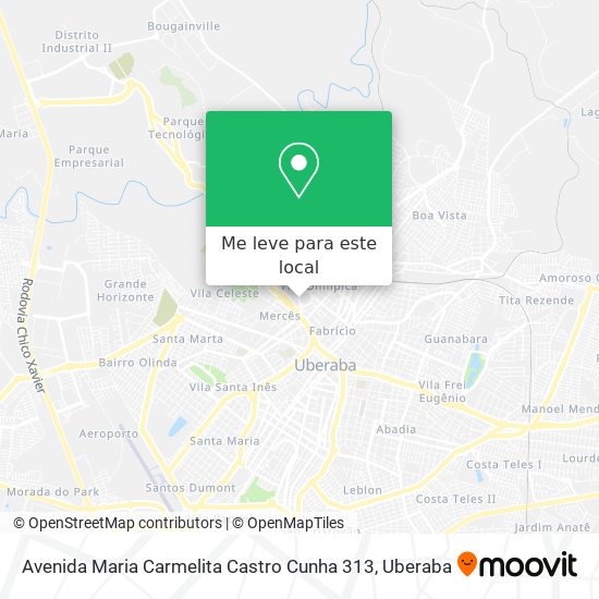 Avenida Maria Carmelita Castro Cunha 313 mapa