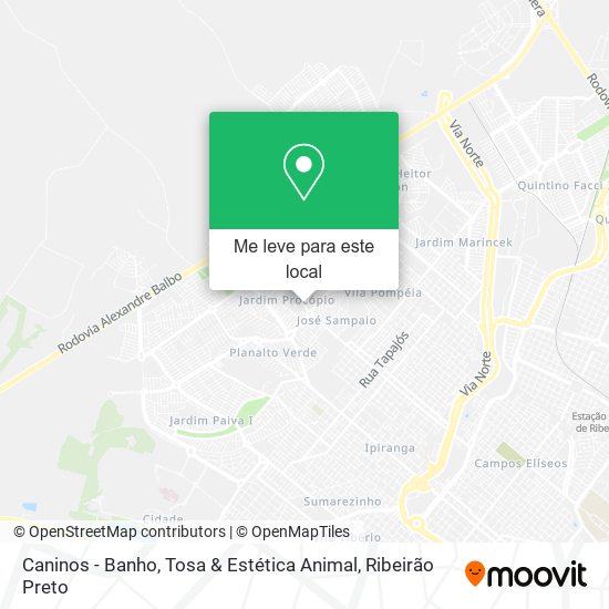 Caninos - Banho, Tosa & Estética Animal mapa