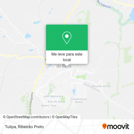Tulipa mapa