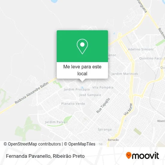 Fernanda Pavanello mapa