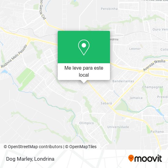 Dog Marley mapa