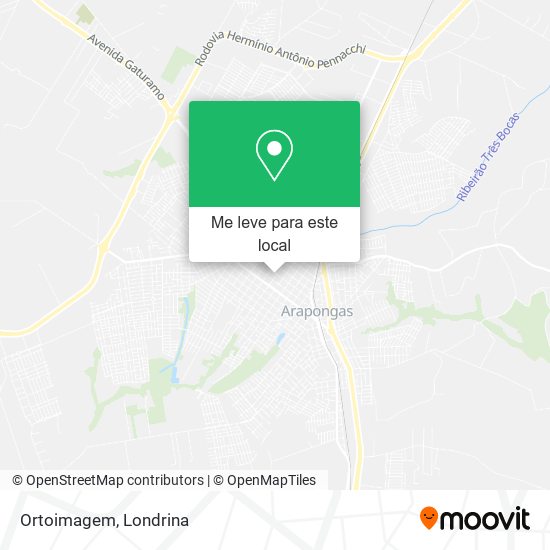 Ortoimagem mapa