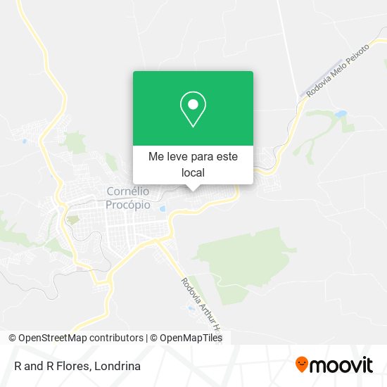 R and R Flores mapa