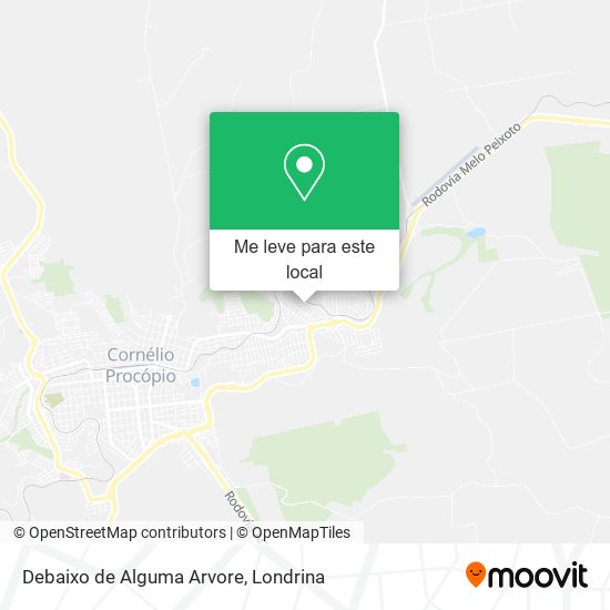 Debaixo de Alguma Arvore mapa