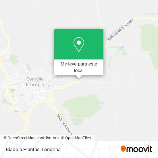 Biadola Plantas mapa
