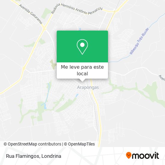 Rua Flamingos mapa