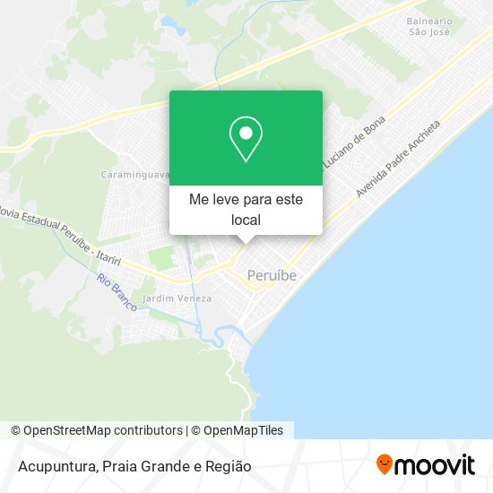 Acupuntura mapa