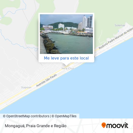 Onde Encontrar Banho e Tosa Próximo a Mim Vila Santista - Banho e