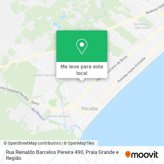 Rua Reinaldo Barcelos Pereira 490 mapa