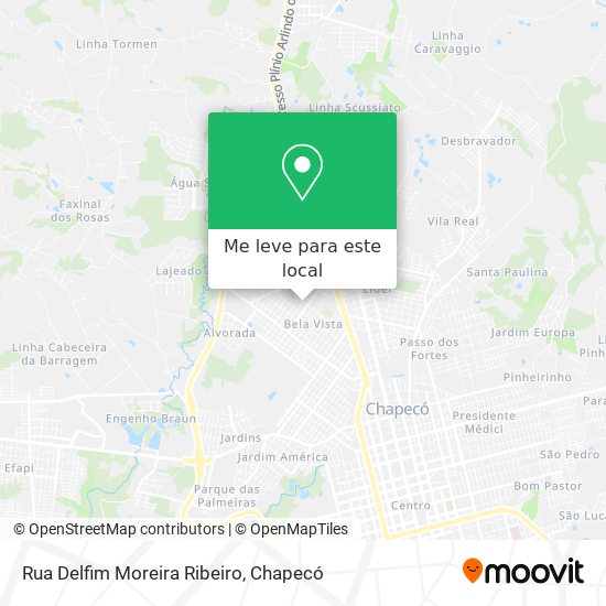 Rua Delfim Moreira Ribeiro mapa