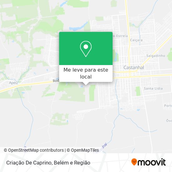 Criação De Caprino mapa