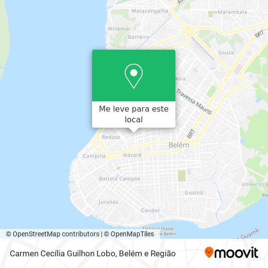 Carmen Cecília Guilhon Lobo mapa