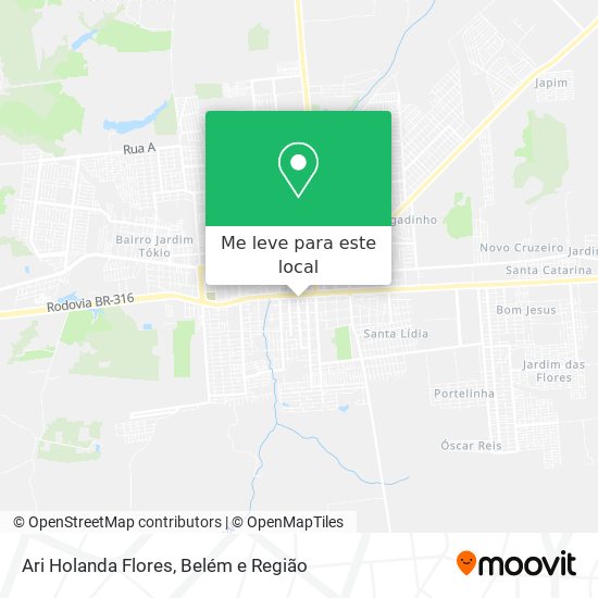 Ari Holanda Flores mapa