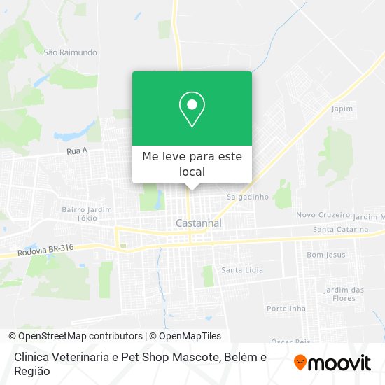 Clinica Veterinaria e Pet Shop Mascote mapa