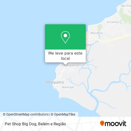 Pet Shop Big Dog mapa