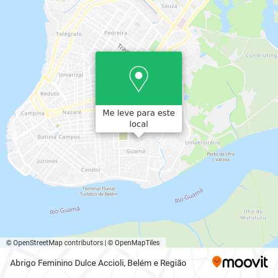 Abrigo Feminino Dulce Accioli mapa