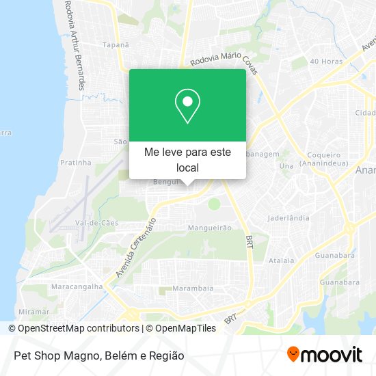 Pet Shop Magno mapa