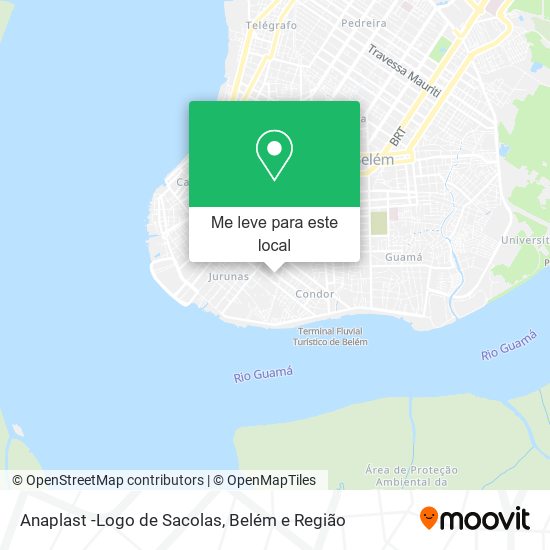 Anaplast -Logo de Sacolas mapa
