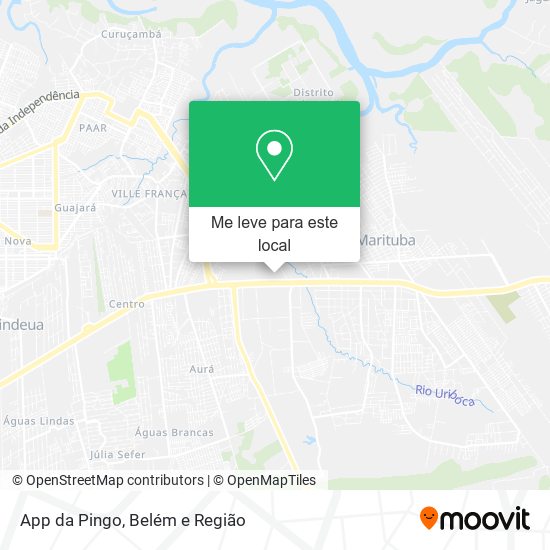 App da Pingo mapa