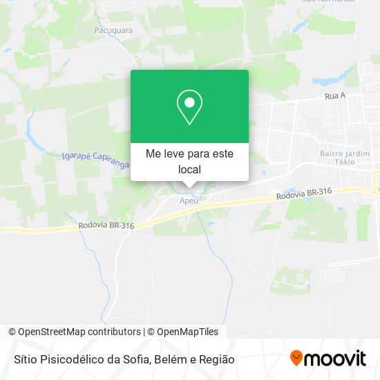 Sítio Pisicodélico da Sofia mapa