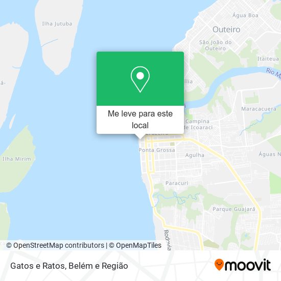 Gatos e Ratos mapa