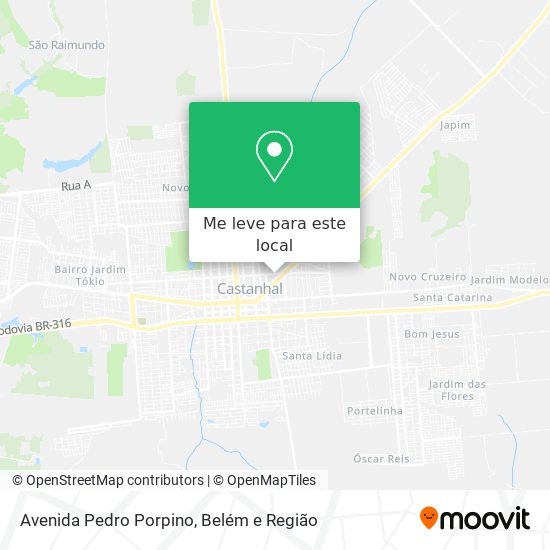 Avenida Pedro Porpino mapa