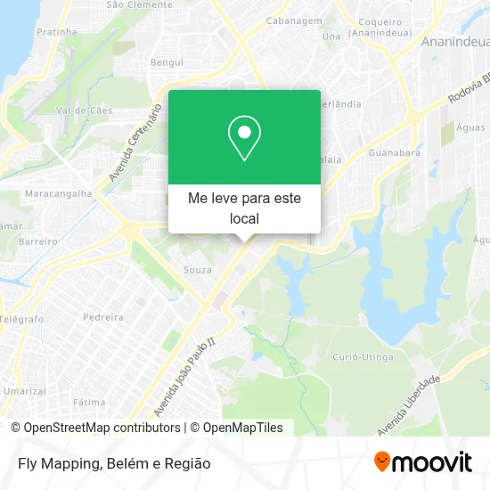 Fly Mapping mapa
