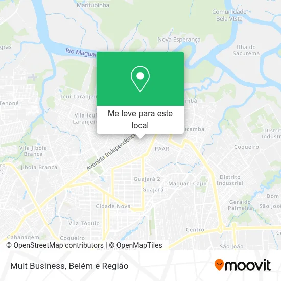 Mult Business mapa