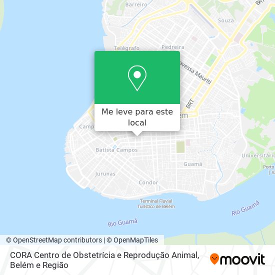 CORA Centro de Obstetrícia e Reprodução Animal mapa