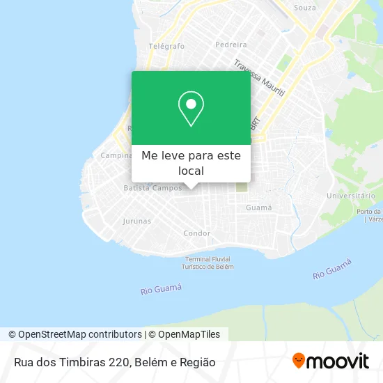 Rua dos Timbiras 220 mapa