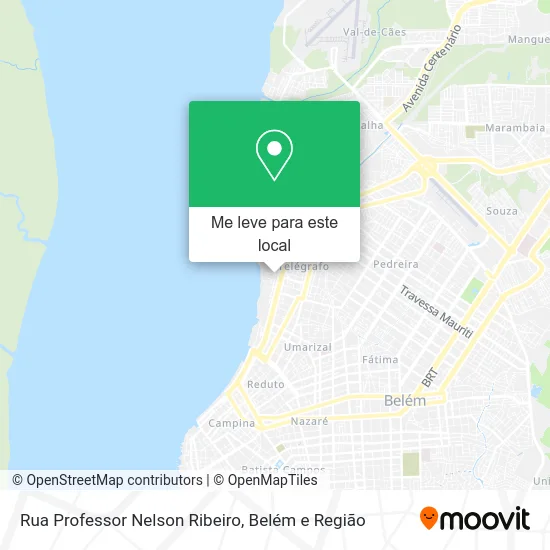 Rua Professor Nelson Ribeiro mapa