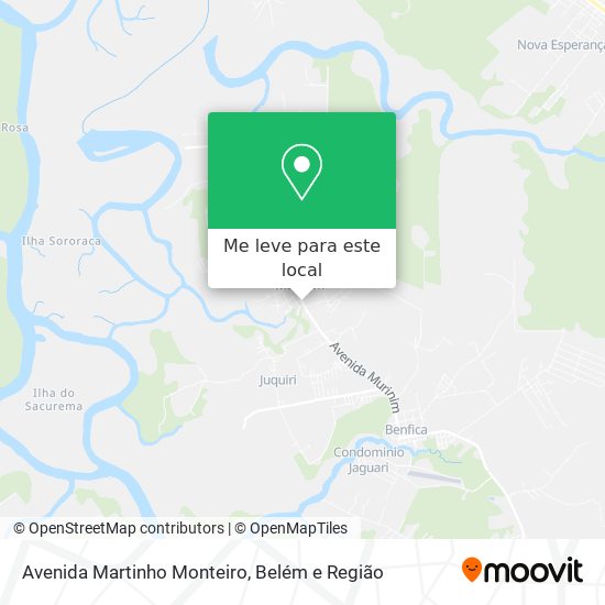 Avenida Martinho Monteiro mapa