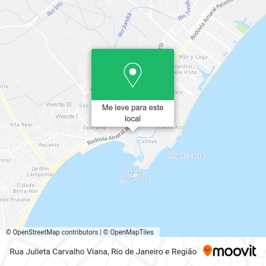 Rua Julieta Carvalho Viana mapa