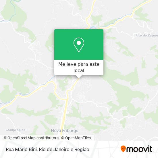 Rua Mário Bini mapa
