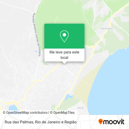 Rua das Palmas mapa