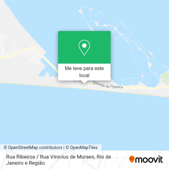 Rua Ribeiros / Rua Vínicius de Moraes mapa
